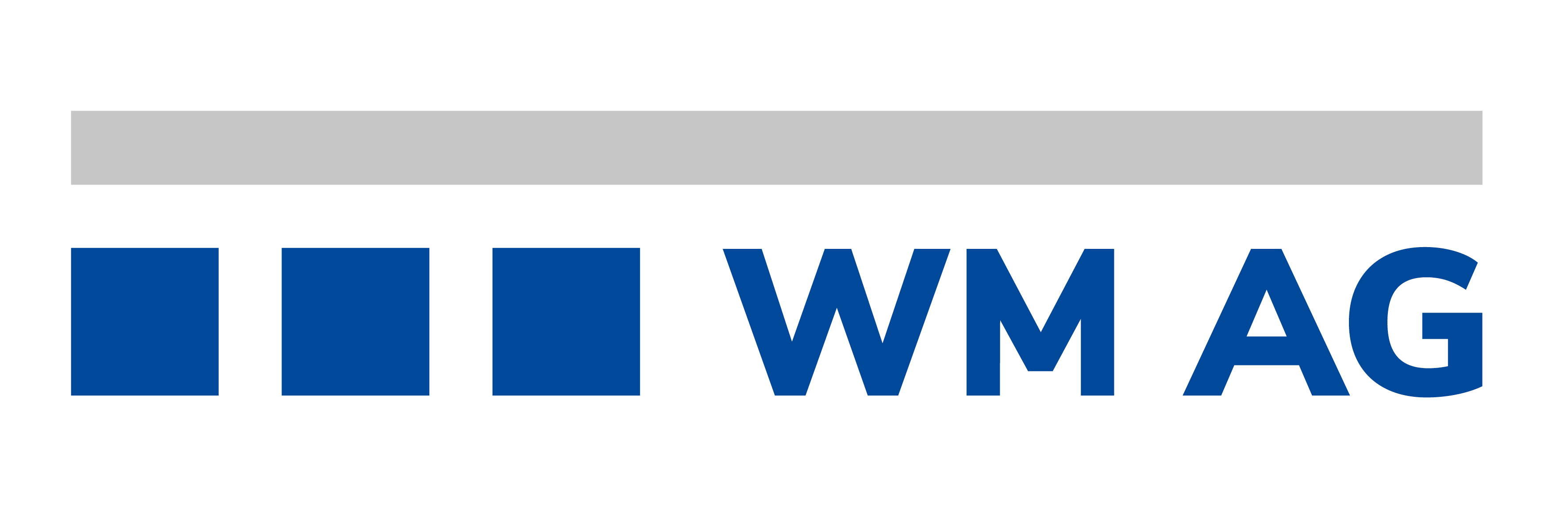 Logo WM-Treuhand & Steuerberatungsgesellschaft AG